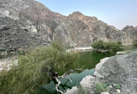 wadi dahir Dam