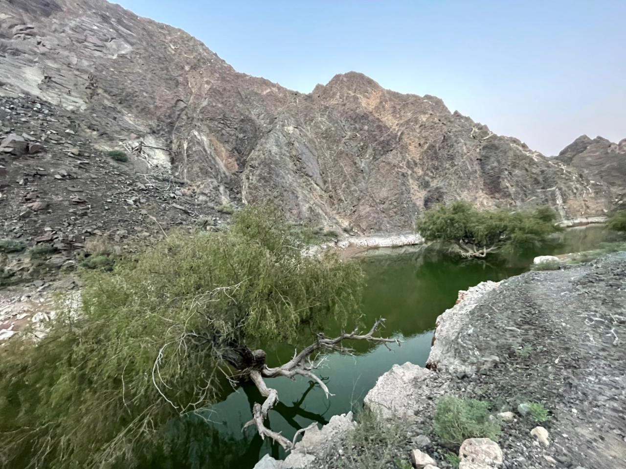 wadi dahir Dam