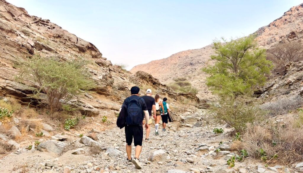 Group hiking through the rocky wadi landscape at Wadi Daftah